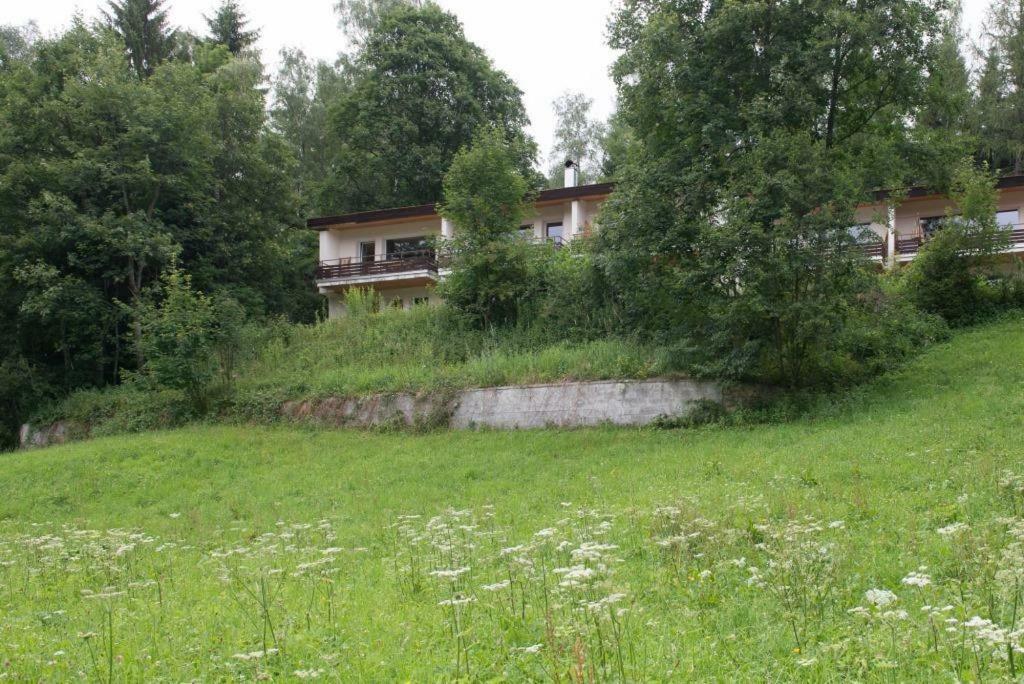 Birkenhof - Schimek Apartment Buerserberg Exterior photo